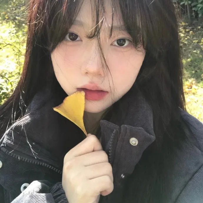 一日偶像署长的事件簿